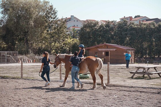 Aula de equitação com póneis para 1 em Quintinha Pedagógica de Canelas em Vila Nova de Gaia (Porto)