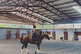 QUINTINHA PEDAGÓGICA DE CANELAS | CENTRO EQUESTRE COUTO PEREIRA