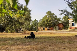 Duas noites em Eco-Villa para 2 em Terramadome em Penamacor (Castelo Branco)