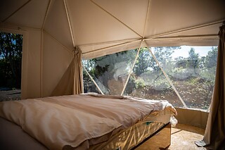 Uma noite em Dome ou Cocoon com pequeno-almoço para 2 em Quinta do Abacate Glamping Park em Angra do Heroísmo (Açores)