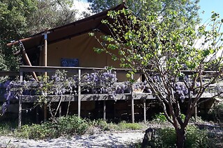 Uma noite em tenda com pequeno almoço para 2 em Quinta Japonesa em Carvalhal Benfeito (Leiria)