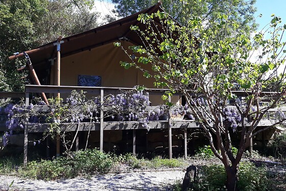 Uma noite em tenda com pequeno almoço para 2 em Quinta Japonesa em Carvalhal Benfeito (Leiria)