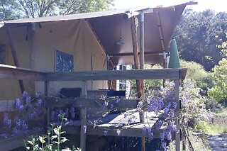 Uma noite em tenda com pequeno almoço para 2 em Quinta Japonesa em Carvalhal Benfeito (Leiria)