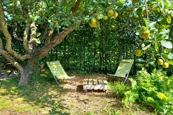 L'Echappée au jardin - photo 5