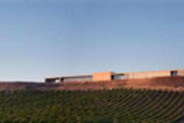 BODEGAS FINCA MONTEPEDROSO