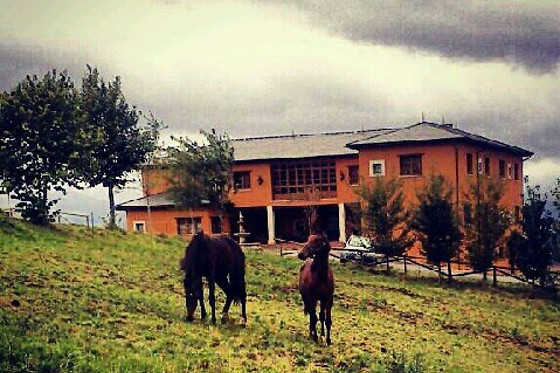 HOTEL RURAL YEGUADA ALBEITAR - photo 5