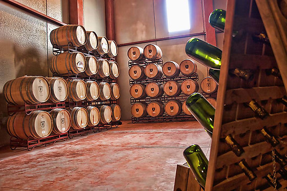 BODEGAS BOCOPA - photo 2