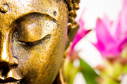 ZEN LIFE