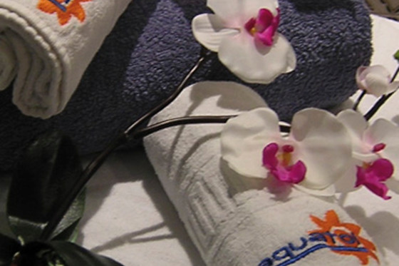 SPA AQUATOL TOLEDO - photo 7