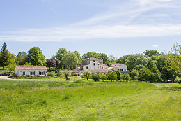 Les Anes de Forcalquier