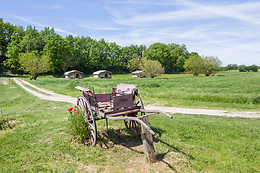 Les Anes de Forcalquier