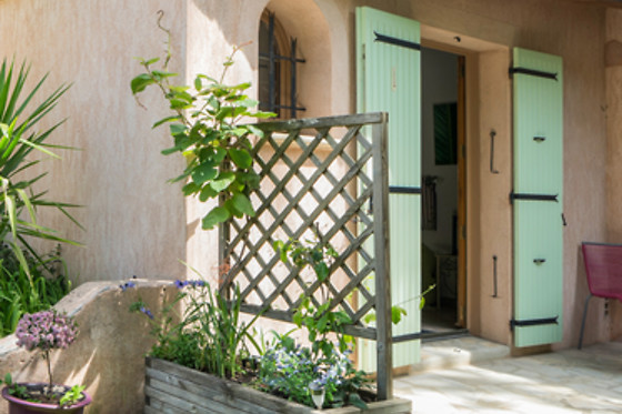 Louminai - photo 6