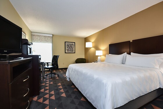 Online Booking EPS - photo 7