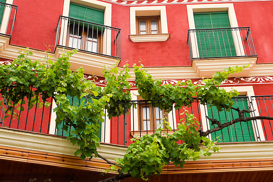 HOTEL ANTIGA - photo 19