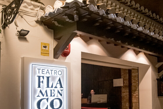 TEATRO FLAMENCO GRANADA - photo 9
