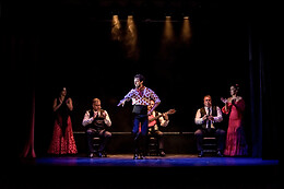 TEATRO FLAMENCO GRANADA