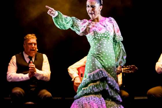 TEATRO FLAMENCO GRANADA - photo 10