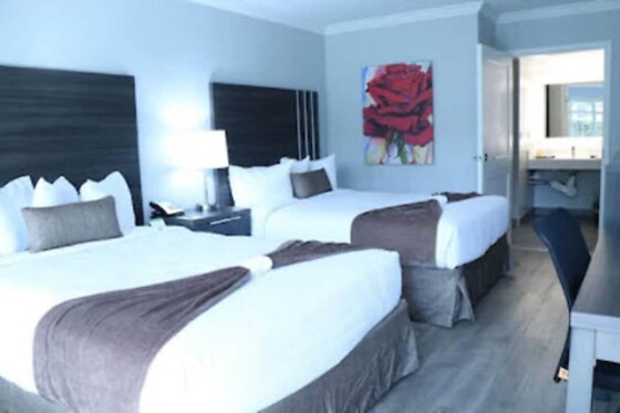 Online Booking EPS - photo 2