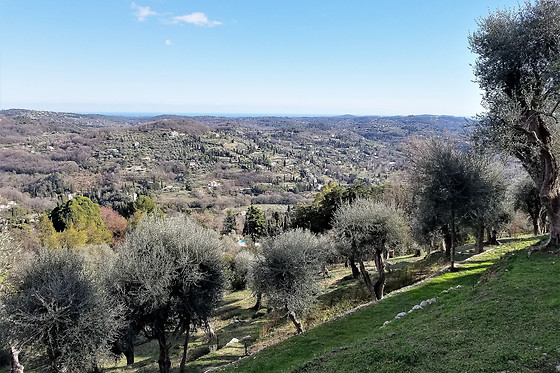 La Bastide Isnard - photo 3