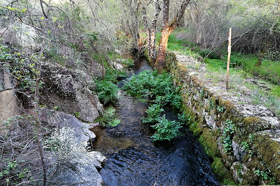 Uma Noite com Pequeno-Almoço para 2 | Monte da Fonte Santa de São Luis (Castelo Branco)