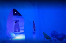SALT ROOM TORREJÓN