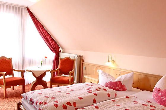 Hotel Zur Igelstadt - photo 4