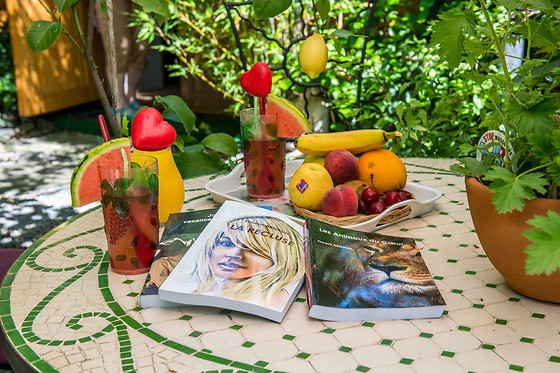Le portel des Arnaud - photo 4