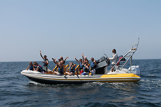 Observação de golfinhos em kayak | Para 2 pessoas - 1h | Beach Hut Watersports (Lagos)
