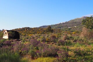 Duas noites em Camping Pod ou Refúgio do Cancho para 2 em Quinta do Maral Espaço Naturista em Marvão (Portalegre)