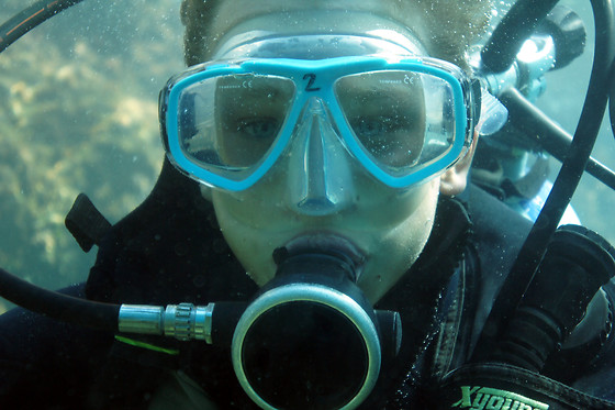 DIVE PARADIS - photo 0