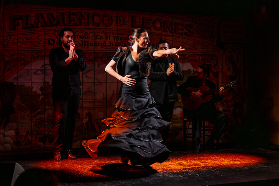 FLAMENCO DE LEONES - photo 8