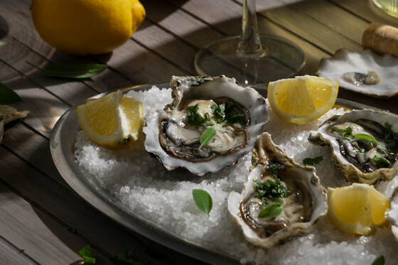 Carvoeiro 21 - photo 3