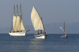 TELA MARINERA