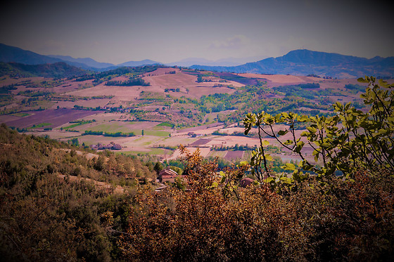 Oasi di Mastarone - photo 0