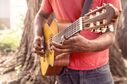 CONCIERTOS A DOMICILIO
