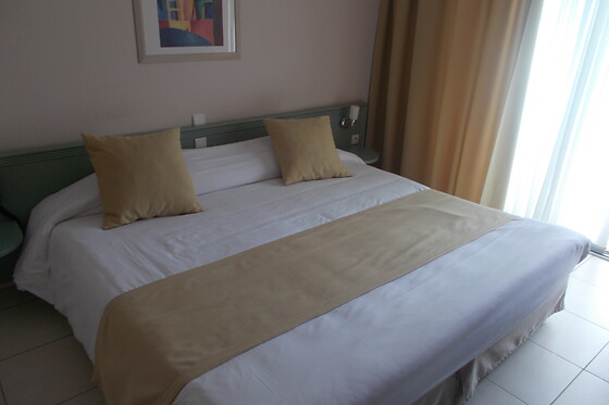 Hotel Restaurant Le Fleurance - photo 5