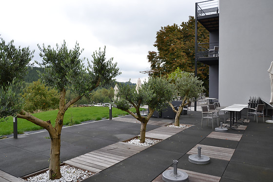 Hôtel Bô Rivage - photo 2