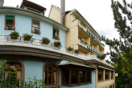 Hôtel du Parc*** Welness & Spa - Restaurant L'Alexain
