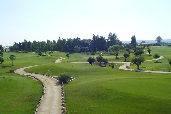 PALOMAREJOS GOLF - photo 3