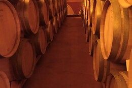 BODEGAS BILBAINAS