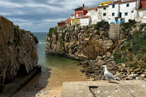 Passeio de Jipe UMM com roteiro | para 2 - 4h | Peniche360