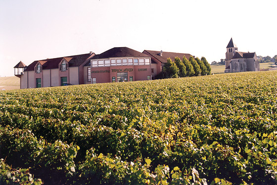 Domaine Brocard - photo 3