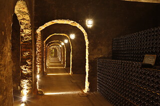 Visita Guiada às Caves Messias + Degustação de Vinho do Porto para 2 | Caves Messias, Mealhada (Aveiro)