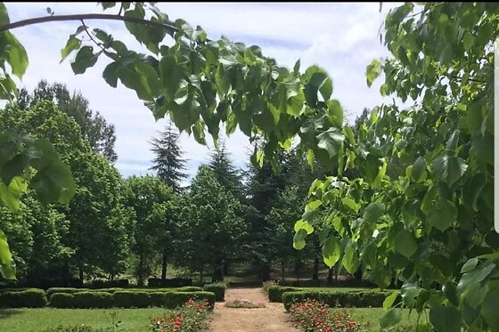 Le Manoir de Fauzan - photo 9
