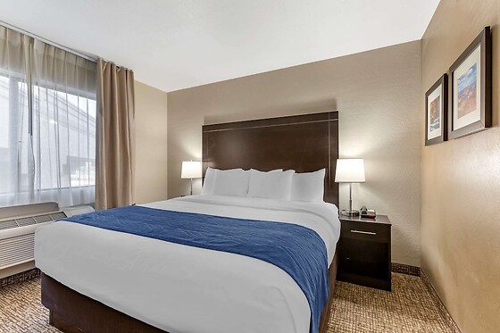 Online Booking EPS - photo 7