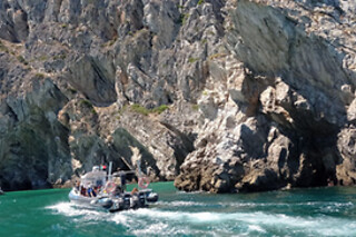 Passeio de Barco Ecológico pela costa de Sesimbra | 2 pessoas - 40min | Arrabida Life, Sesimbra (Setúbal)
