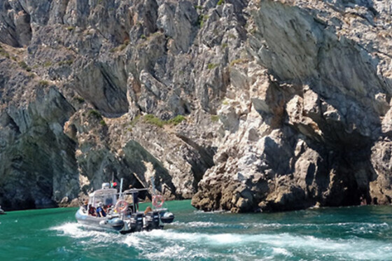 Passeio de Barco Ecológico pela costa de Sesimbra | 2 pessoas - 40min | Arrabida Life, Sesimbra (Setúbal)
