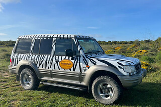 Tour de Jipe na Arrábida | 1 Pessoa - 4h | Sesimbra Safari (Setúbal)