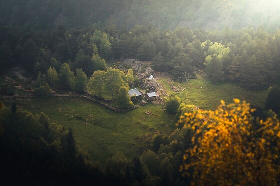 BORDES PIRINEU - photo 7