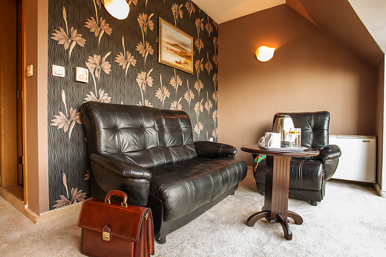Lozenetz Hotel Sofia - photo 4